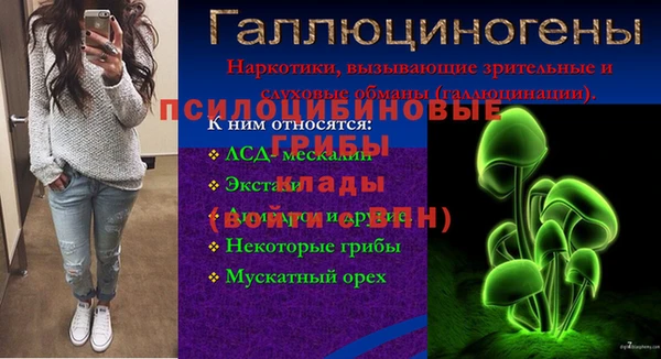 гашик Навашино